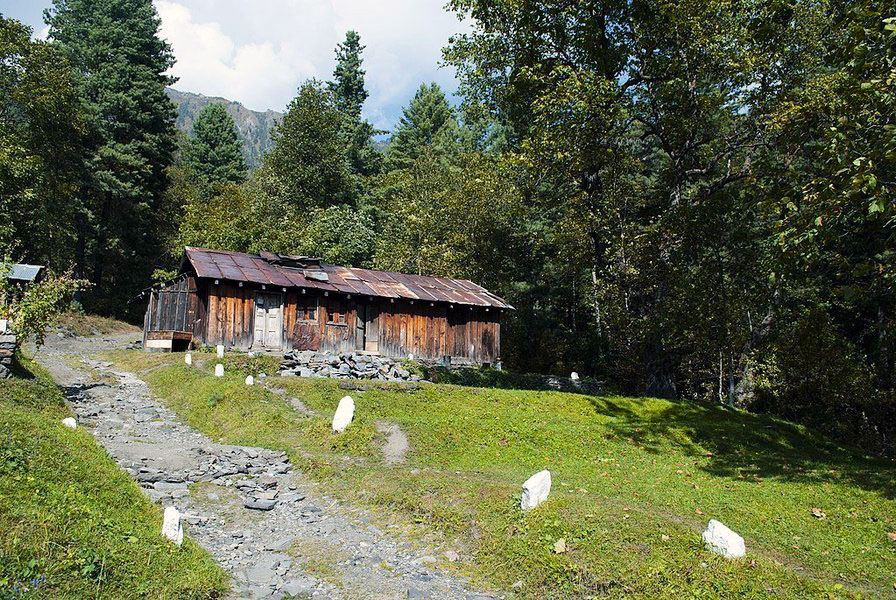 Sharan Forrst, Kaghan Valley - WhataTrip.PK